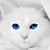 :iconmonstermansmom: