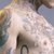 :iconmontagut: