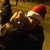 :iconmontana-x-th: