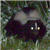:iconmontane:
