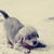 :iconmonteze: