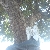 :iconmontry-claud: