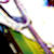 :iconmonz-ter: