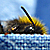 :iconmoo-joo: