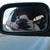 moo-moo-meadows :iconmoo-moo-meadows:
