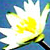 :iconMood-Ring: