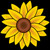 :iconmoodie1: