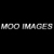 :iconmooimages: