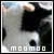 :iconmoomoomoomoo: