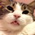 :iconmoon--river: