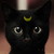 :iconmoon-cat21: