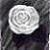 :iconmoon-kito: