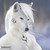 :iconmoon-myth: