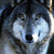 :iconmoon-runner: