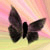 :iconmoon-shadow13: