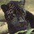 :iconmoon-shadows1: