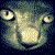 :iconmoon-stone: