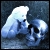 :iconmoon-student: