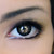 :iconmoon-waffles: