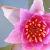 :iconmoon-water: