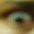 :iconmoonbay51: