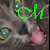 :iconmooncat-pereira: