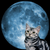 :iconmooncloud-12: