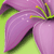 :iconmoondrums: