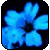 :iconmoonenigma: