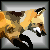 :iconmoonfollower: