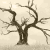 :iconmoonglade:
