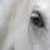 :iconmooniqs: