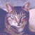 :iconMoonir: