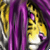 :iconMoonKitten85: