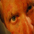 :iconMoonlight-Agony: