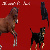 :iconmoonlight-fire-stock: