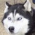 :iconmoonlight-mistressmt:
