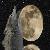 :iconMoonlight-Wolfie: