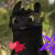 :iconmoonlight02111: