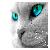 :iconmoonlight1295: