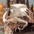:iconmoonlight1884: