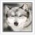:iconmoonlight79: