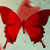 :iconmoonlight887: