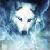 :iconmoonlight902: