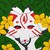 :iconmoonlightangel: