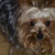 :iconmoonlightflower1: