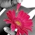 :iconmoonlightgoddess86: