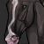 :iconMoonlightSiberian: