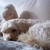 :iconmoonlightspecial: