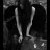 :iconmoonlighty169: